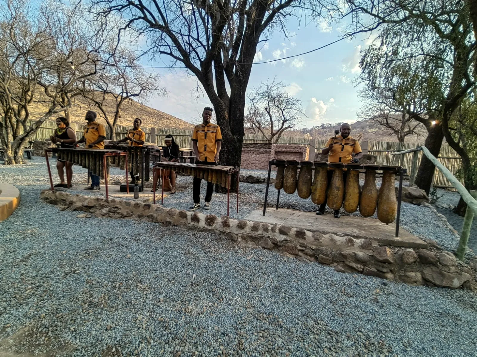 A marimba band playing under the trees