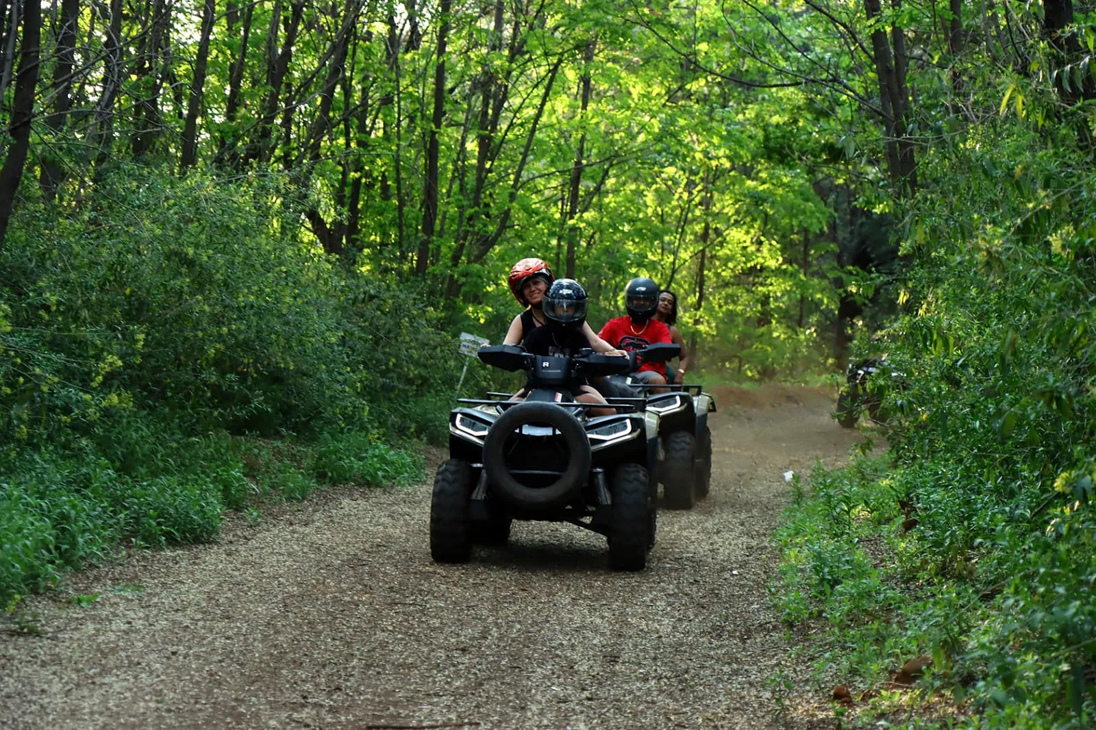 Riders on quad bikes on a forest trail