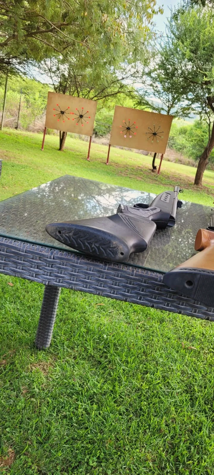 Air rifles facing the target boards