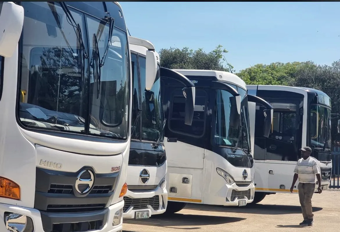 Buses lined up for a school excursion
